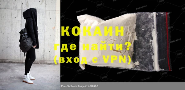 дживик Абаза