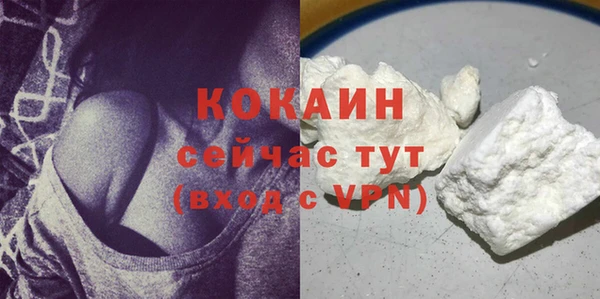 дживик Абаза
