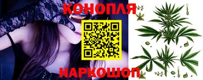 гашик Канаш