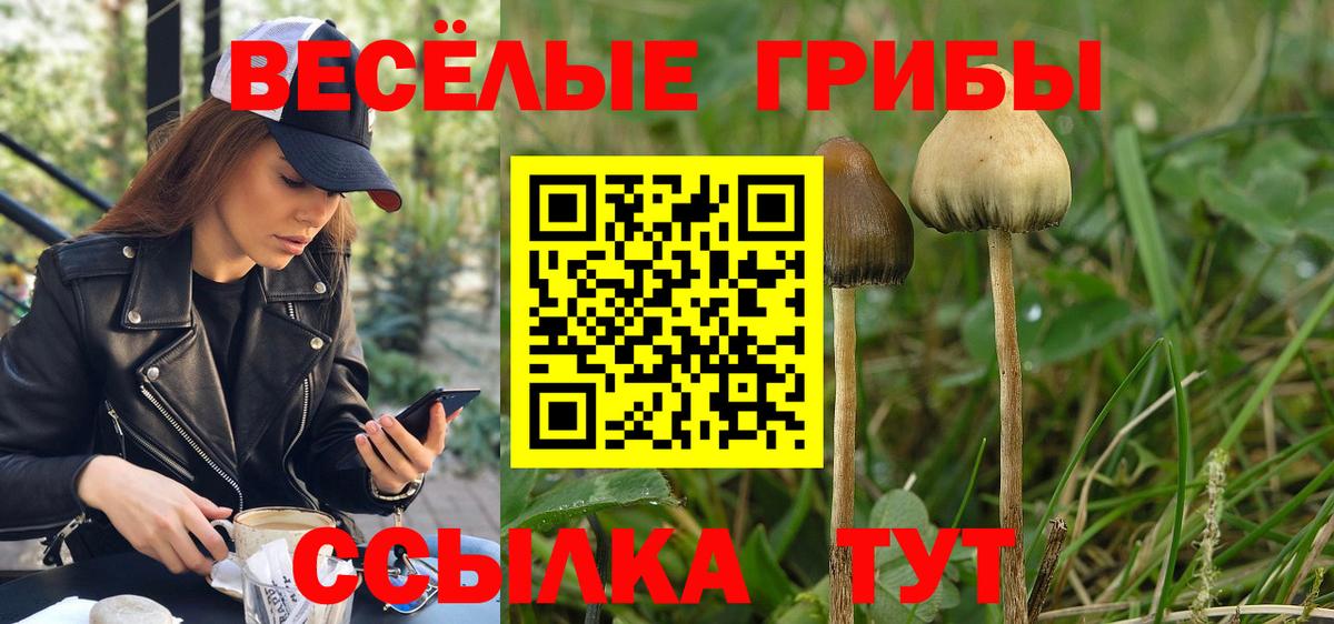 Галлюциногенные грибы Magic Shrooms  Псилоцибиновые грибы MAGIC MUSHROOMS  Новотроицк  Вход с VPN 