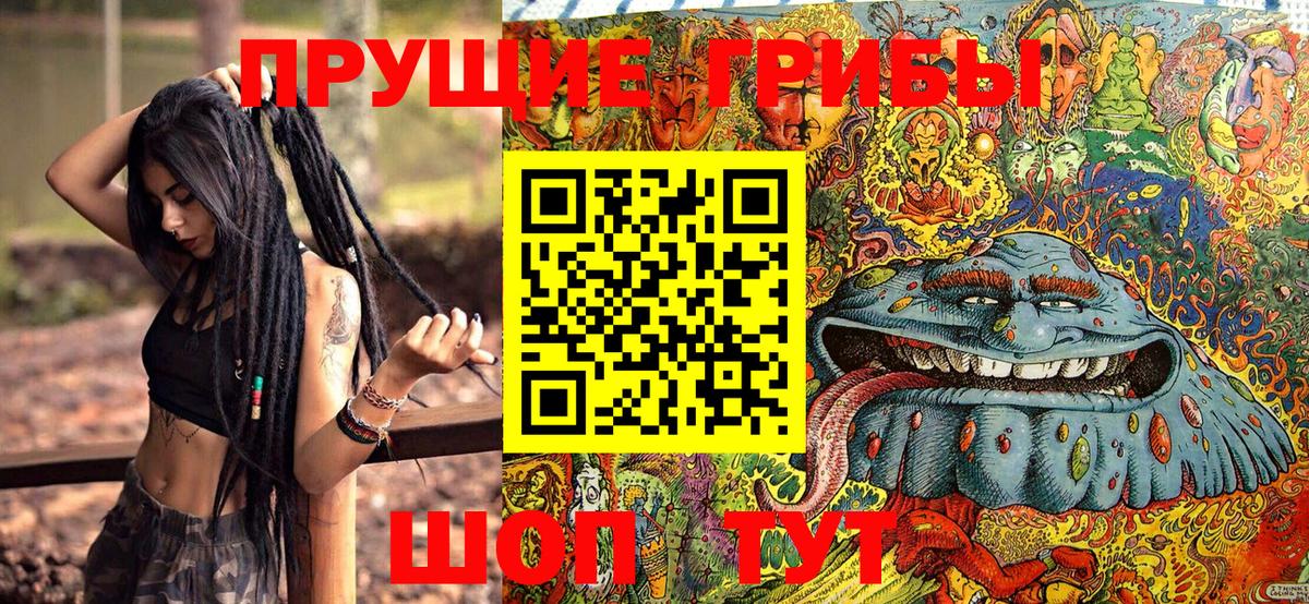 Псилоцибиновые грибы мицелий Новотроицк